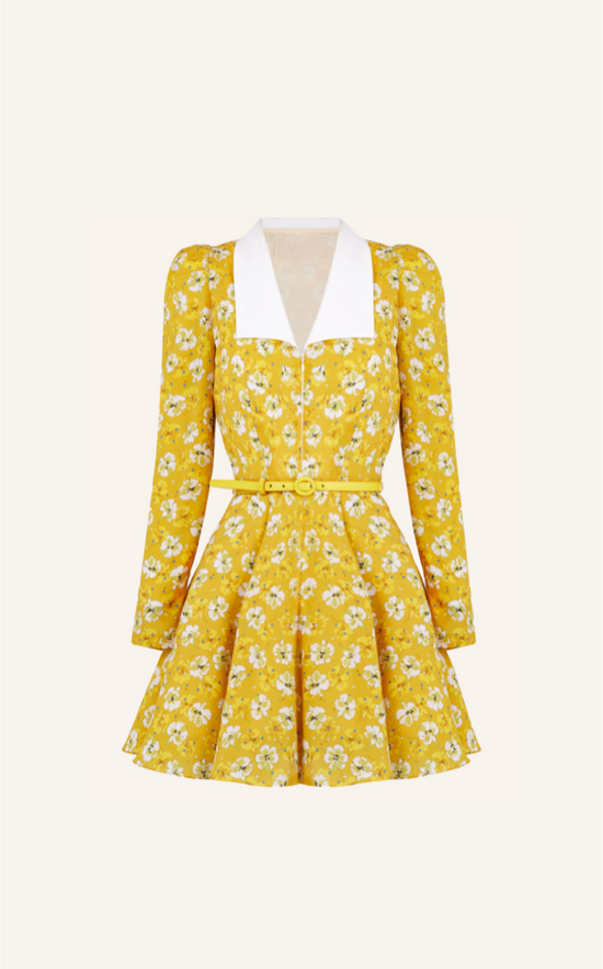 Chris Mini Dress